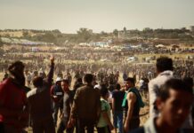 Se boste danes udeležili protesta v Novem mestu?