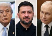 Trump pritiska na Zelenskega: bo vojne končno konec?