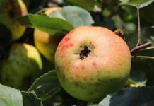 Vožnja z vlakom vas bo ta teden navdušila!