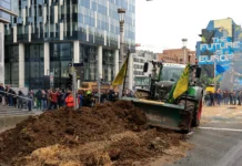 Bruselj zasut z gnojem in traktorji: kmetje Evrope sprožili upor, ki je prestolnico spremenil v bojno polje
