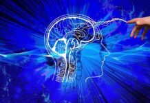 Slovenija in Albanija na vrhu balkanske IQ lestvice za leto 2026