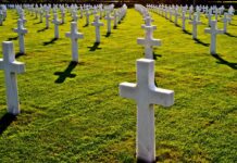 Grozote po vojni: podobno kot v Sloveniji, je tudi Francija kaznovala napačne ljudi