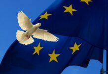 Afera za afero: 4 leta v znamenju spornih odločitev, poslov in pretresov!