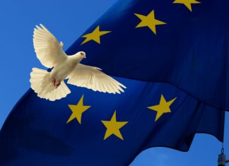 Afera za afero: 4 leta v znamenju spornih odločitev, poslov in pretresov!