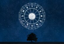POSLOVNI HOROSKOP ZA JUNIJ 2026: Kdo bo služil, kdo napredoval in katera znamenja čakajo velike poslovne priložnosti?
