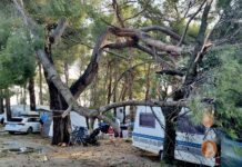 Kamp Lopari na Lošinju: ko narava udari, šteje pripravljenost in človeškost
