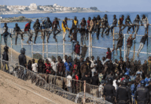 Ceuta znova pod pritiskom: Maroko ustavil skoraj 300 migrantov, splet pa že vabi v nov množični prehod!