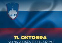 4 × ZA? Štiri glasovnice, štiri velike odločitve: o čem bomo odločali 11. oktobra 4krat ZA, sds.si